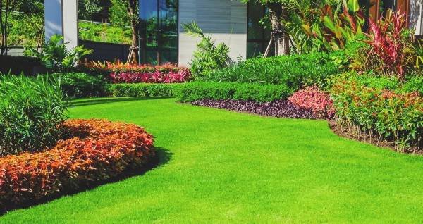 Landscaping Services Las Vegas