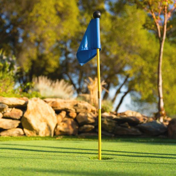 Local Las Vegas Landscaping Contractor for Artificial Turf Installation.