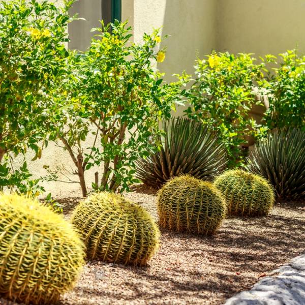 Professionally Remodel your Backyard Landscaping