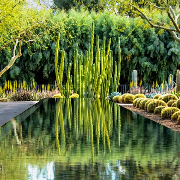 Recommended Las Vegas Landscape Design Features