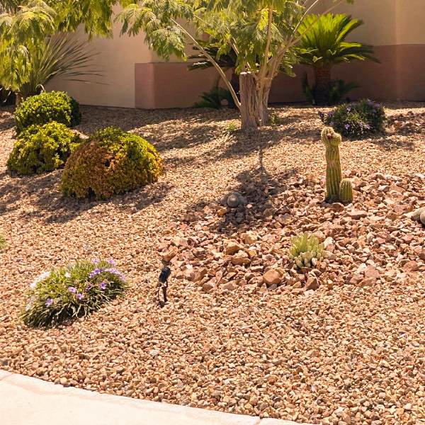 Affordable Decorative Landscape Rock Installation & Delivery in Las Vegas