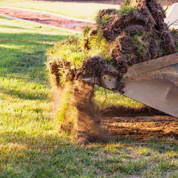 grass-removal-las-vegas-lawn-removal-rebate-program