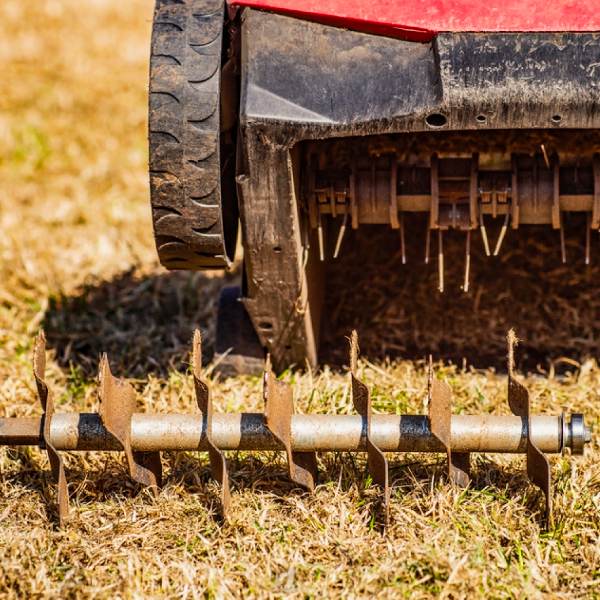 Expert Lawn & Grass Removal Services in Las Vegas