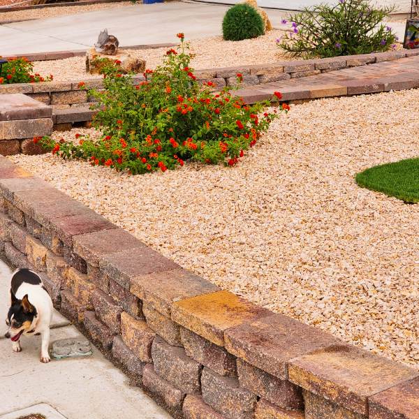Schedule your Las Vegas Decorative Rock Landscaping Service Today!