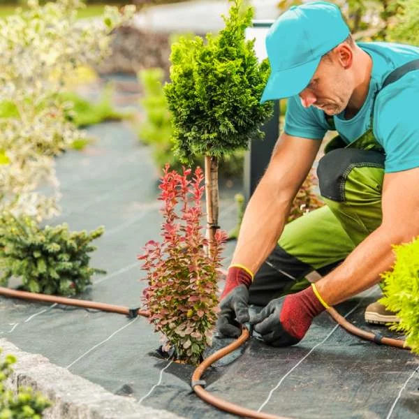Professional Sprinkler Repair Services in Las Vegas, NV
