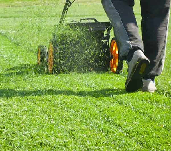 Affordable Lawn Maintenance in Las Vegas