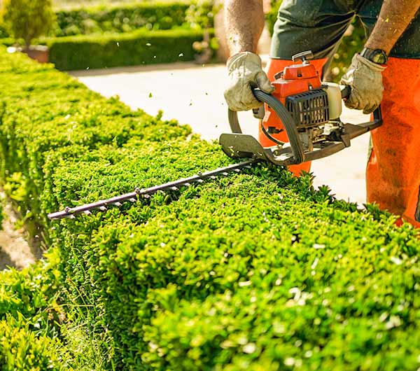 Landscape Maintenance Mastery for Las Vegas, Nevada’s Finest Estates 