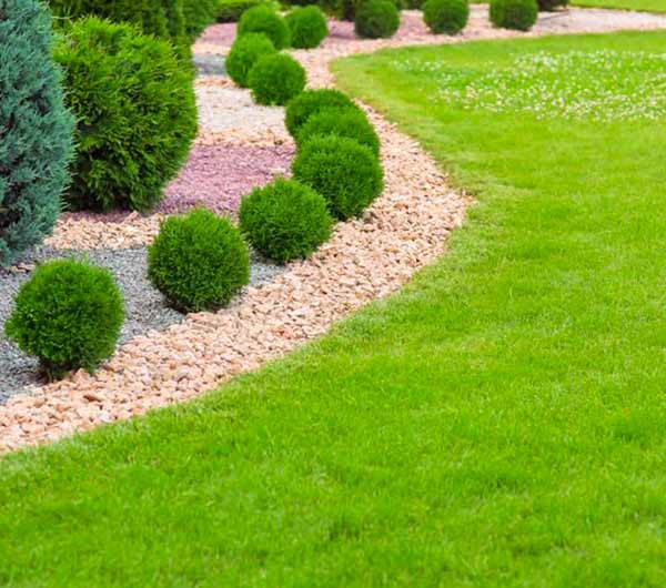 Las Vegas, Nevada: Full-Service Lawn Care Solutions for Every Season. 