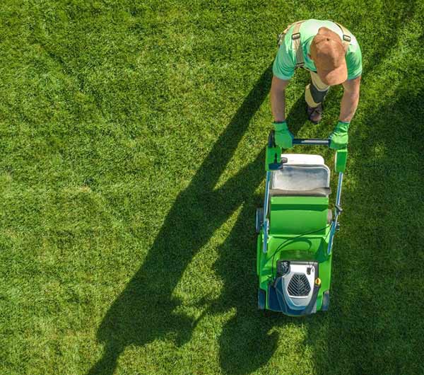 Las Vegas, Nevada: Full-Service Lawn Care Solutions for Every Season. 