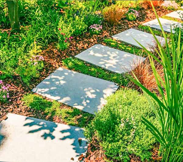 Reliable Lawn Maintenance Services for Las Vegas, Nevada Properties