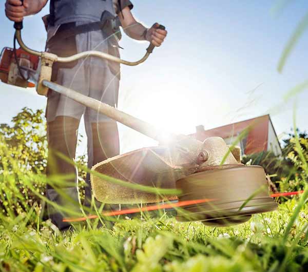 Las Vegas, Nevada's Choice for Professional Landscape Maintenance