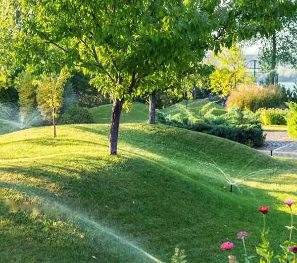 Las Vegas, Nevada’s Trusted Lawn Maintenance Professionals