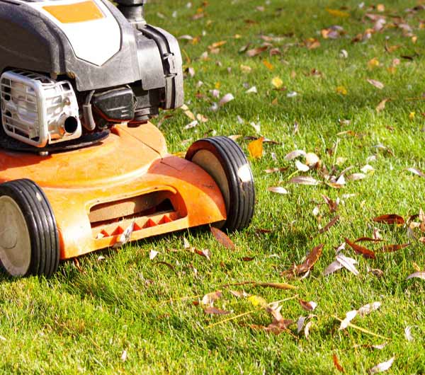 Year-Round Lawn Care Services in Las Vegas, Nevada