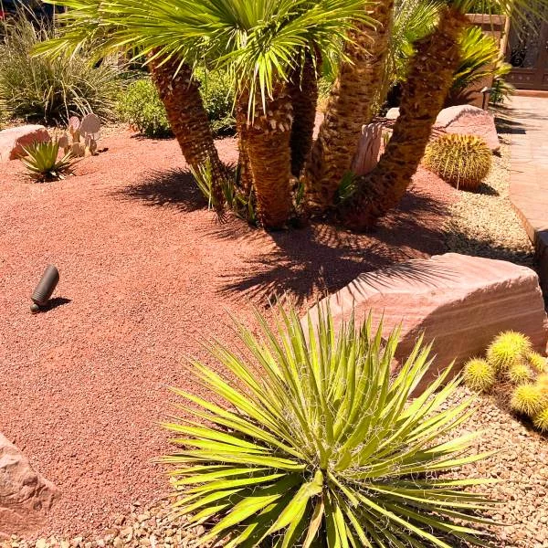 Complete Yard Clean Up Services for the Las Vegas Community