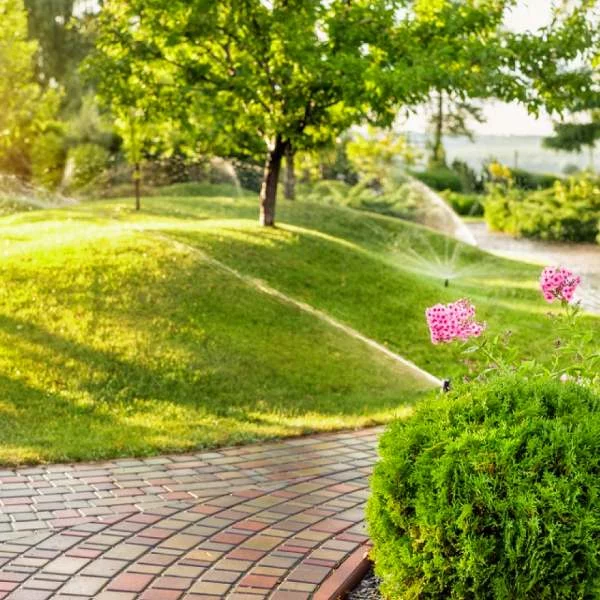 Las Vegas's Best Choice for Residential and Commercial Yard Clean Up