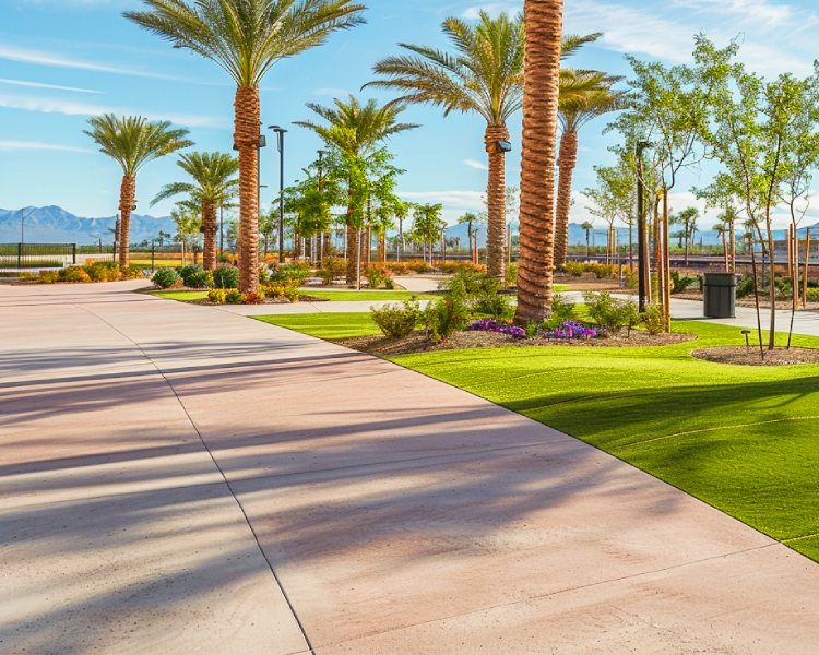 Las Vegas’s Premier Provider of Commercial Concrete Services